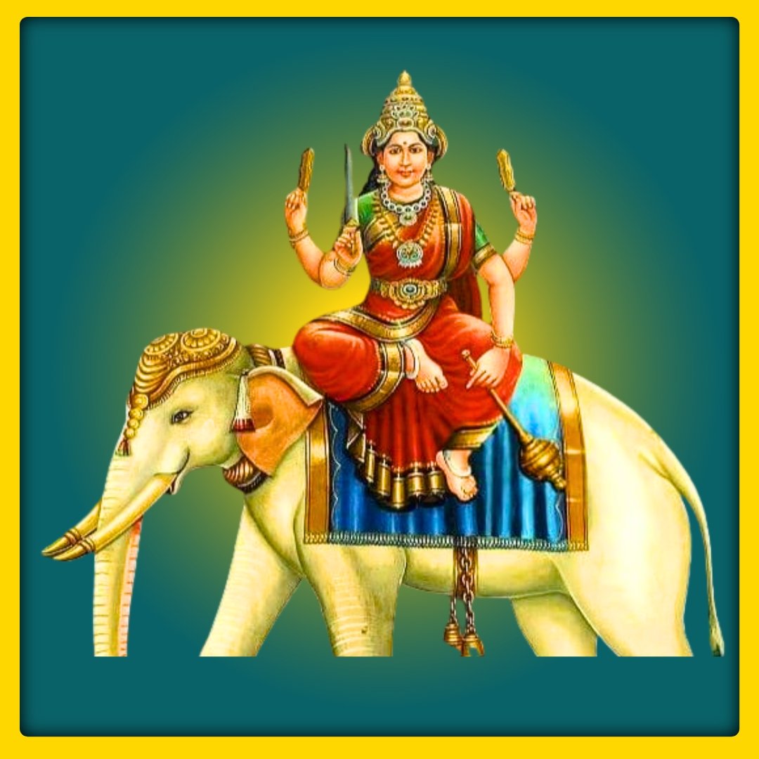 SDRSER42801 - 1763194646.jpg